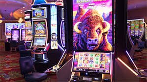 bet03 com